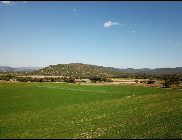 20HA FARM FOR SALE IN WEENEN